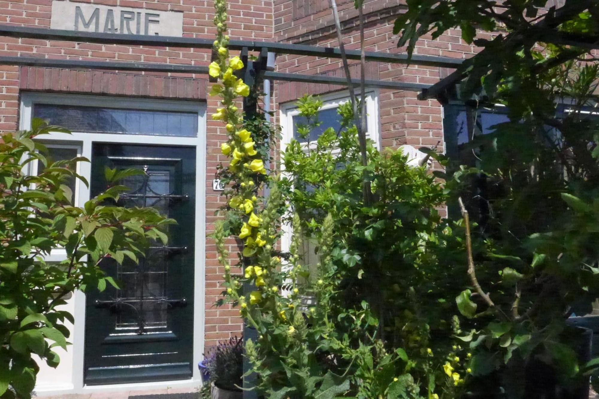 Family Home Marie ザントフォールト エクステリア 写真