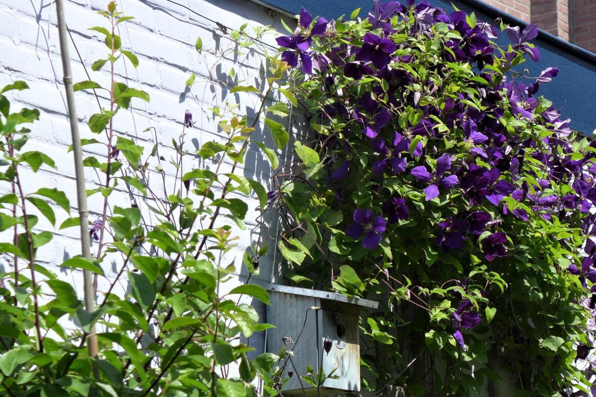 Family Home Marie ザントフォールト エクステリア 写真